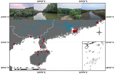 Habitat changes of a small endemic euryhaline fish species in the northern margin of the South China Sea under the background of global warming